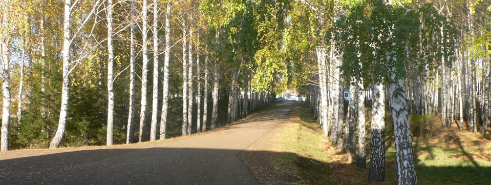 МОБУ СОШ с. Старокуручево